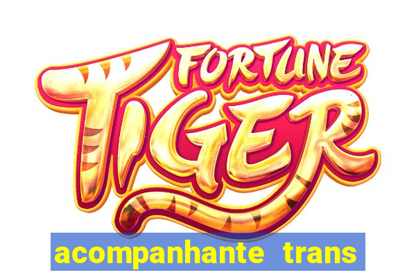 acompanhante trans em santos